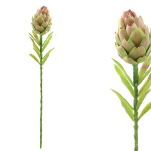 ΔΙΑΚΟΣΜΗΤΙΚΟ ΚΛΑΔΙ ΠΡΩΤΕΑ ΠΡΑΣΙΝΟ-ΡΟΖ - Φ7x56cm